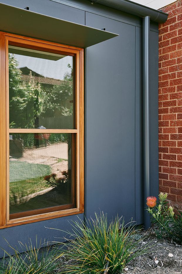 Close-up exterior view of a contemporary residential facade featuring dark blue-grey vertical cladding, a projecting flat canopy, a timber-framed window, a round downpipe, and an adjacent red brick wall. Native-style landscaped planting occupies the foreground.