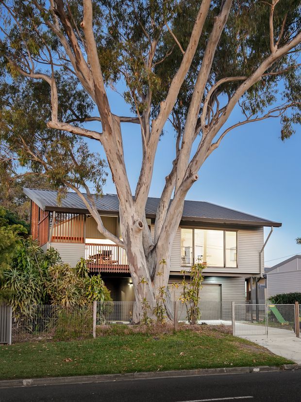 A suburban two-storey contemporary house viewed from the street, partially screened by a large mature eucalyptus tree. The home has a dark pitched metal roof, light grey horizontal cladding, warm timber screening and balcony elements, large windows, a garage, front lawn, fencing and a concrete driveway.