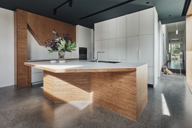 Contemporary minimalist kitchen with a large white island featuring integrated sink and white benchtop, textured warm timber veneer cabinetry, and full-height white storage cabinetry. The space has a dark ceiling with track lighting, polished concrete flooring, and a long circulation corridor extending beyond the kitchen.