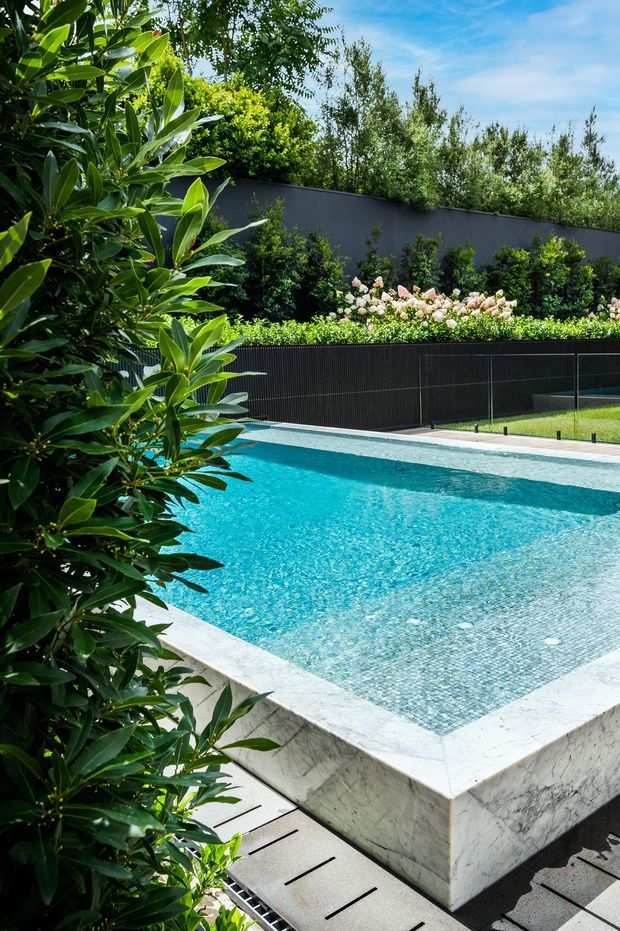 A landscaped outdoor swimming pool with bright turquoise water, pale stone coping and a tiled shallow edge. Dense green planting frames the foreground, while clipped shrubs, flowering roses, a dark privacy fence and charcoal garden wall surround the pool.