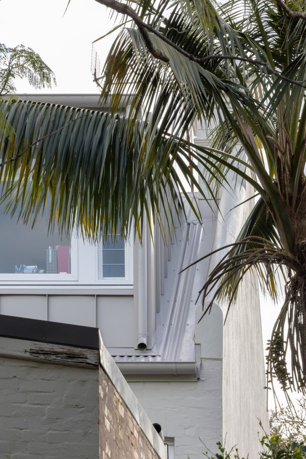 Close-up exterior view of a white-painted masonry residential building partly screened by large palm fronds. Visible architectural details include a white rendered and brick wall, white window frames, corrugated metal awning or roof edging, exposed downpipes, and a dark horizontal trim. The image has a quiet leafy urban or suburban character with soft natural light.