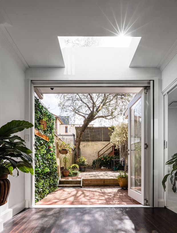 Bright interior view through fully opened glazed doors onto a small landscaped courtyard. The room has white walls and decorative ceiling cornices, dark timber flooring, a large rectangular skylight, and abundant indoor plants. Outside is a tiled patio with raised steps, brick and lattice walls, climbing greenery, potted plants, and a mature tree.