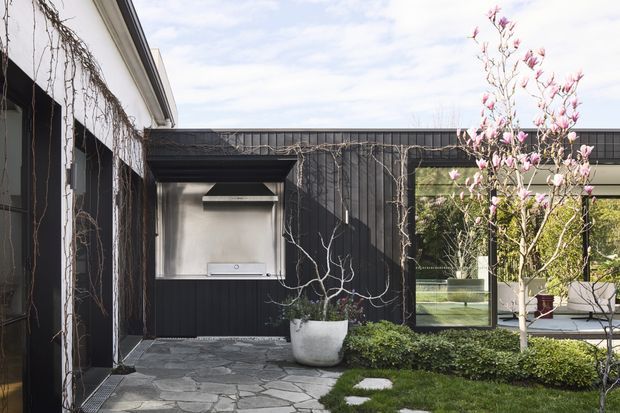 A landscaped courtyard between modern building wings, featuring dark vertical cladding, extensive climbing vines, large glazed openings, pale rendered walls, and irregular natural-stone paving. A magnolia tree, clipped hedging, ornamental grasses, and large planters soften the restrained contemporary architecture.