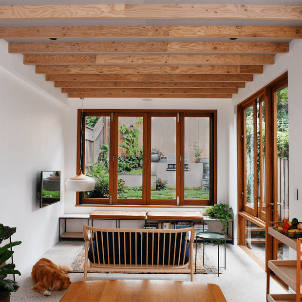 A bright contemporary living and dining area with a warm timber-beamed ceiling, white walls, timber-framed windows and doors, and views into a planted courtyard. The room contains a timber-framed sofa, low coffee table, side tables, a built-in bench beneath the windows, indoor plants, and a small dog. Natural light and extensive glazing create an airy connection to the garden.