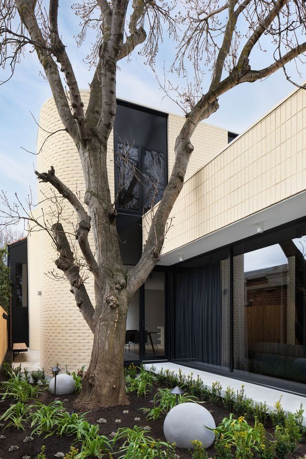 A modern two-storey residential facade viewed from a landscaped front garden. The building features pale cream brickwork, strong black-framed floor-to-ceiling glazing, deep dark reveals, and a projecting upper volume. A mature leafless tree and low contemporary planting occupy the foreground, with spherical garden lights integrated into the garden bed.