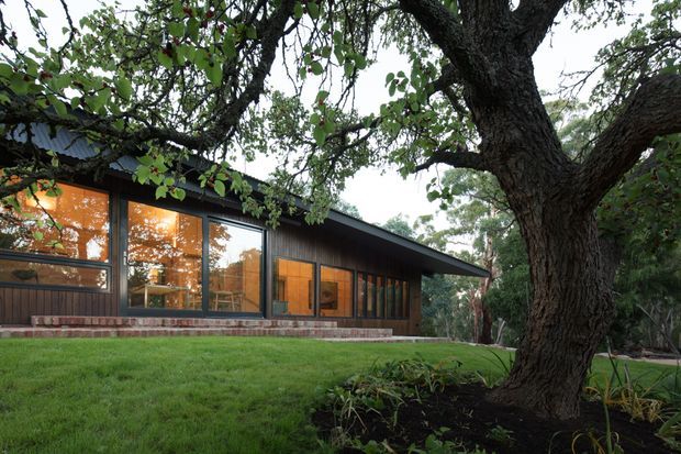 Single-storey modern residential house set among mature trees, viewed from the landscaped garden. The building has a low-pitched roof with broad eaves, dark timber wall cladding, extensive floor-to-ceiling glazing, and a low brick base. Warm interior light is visible through the windows, while a large established tree dominates the foreground.