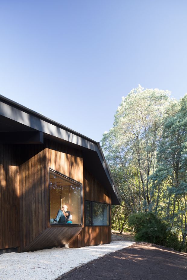 Exterior view of a compact modern timber-clad building set among mature trees. The structure has a strongly pitched asymmetrical roof with dark metal fascia and deep eaves, vertical dark-stained timber cladding, and large windows. A pale gravel path borders a freshly landscaped dark-soil area, with a wooded natural setting beyond.