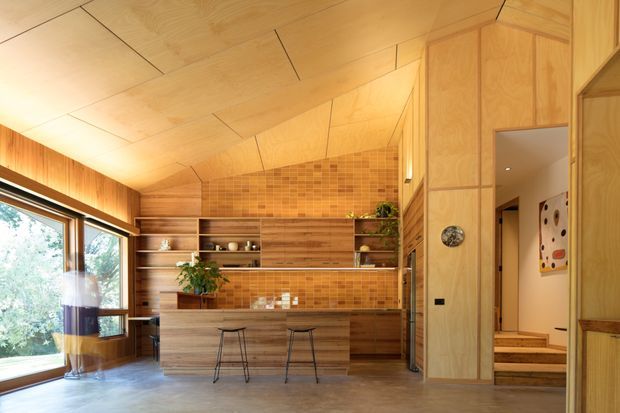 Warm, wood-lined open-plan kitchen with a timber-clad angled ceiling, extensive built-in timber cabinetry and shelving, a tiled backsplash, and a compact island with bar stools. Large glazing on the left brings in views of greenery, while a timber-lined hallway and steps lead to adjacent areas on the right.