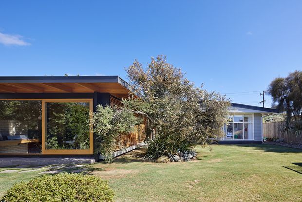 Exterior view of a low, single-storey residential property with a flat or very shallow roof, dark cladding, extensive timber-framed glazing, and a warm timber soffit. A manicured lawn, mature planting, and a secondary light-coloured building are visible, suggesting a suburban garden setting.
