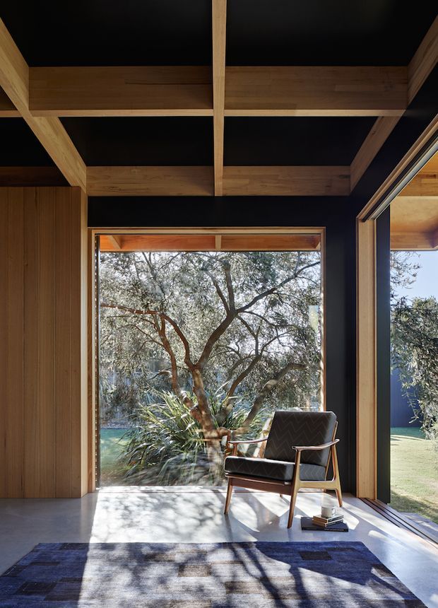 A refined interior corner with a mid-century-style lounge chair positioned beside expansive floor-to-ceiling glazing. The room features dark painted walls and ceiling panels, warm timber wall cladding and exposed timber ceiling beams, polished concrete flooring, and a large patterned rug. Strong sunlight and shadows from the surrounding garden enter through the glazing, creating a quiet connection to the landscape.