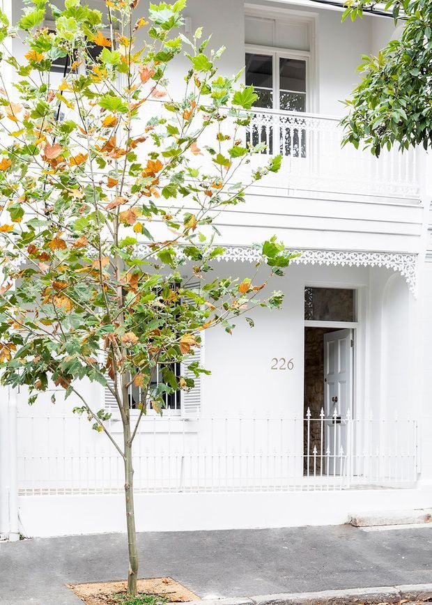 Street-facing view of a narrow, white-painted multi-storey townhouse facade with ornate decorative trim, lacework balcony balustrades, a recessed entry porch, white fencing, sash-style windows and a small street tree in the foreground. The facade has strong heritage detailing and a bright monochrome appearance.