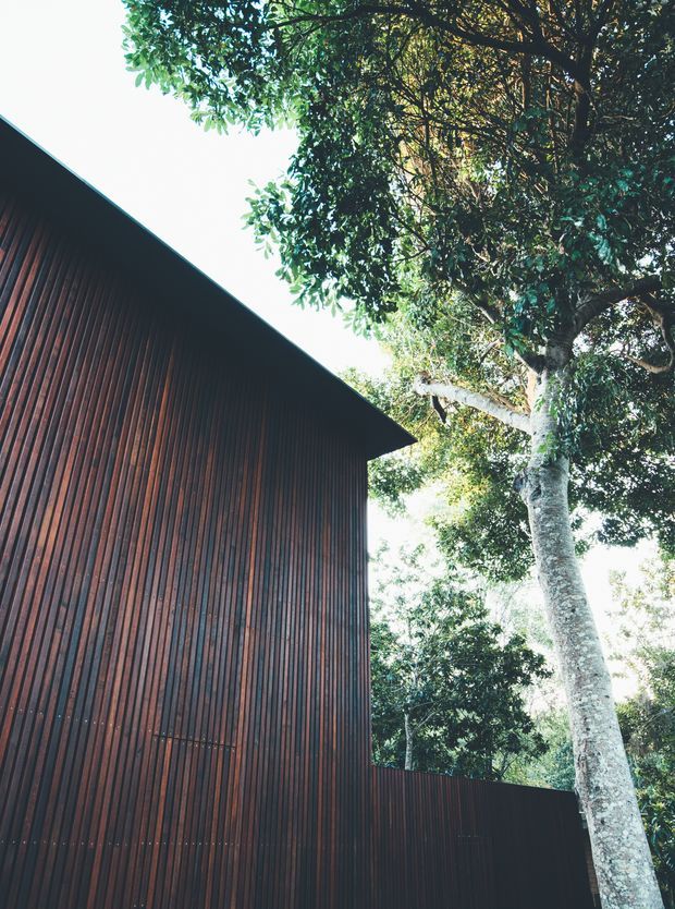 A close-up exterior architectural view of a dark, vertically ribbed timber-clad building with a sharp sloping roof edge, set among mature leafy trees. The image emphasizes the contrast between the warm brown facade and dense greenery, with no interior visible.