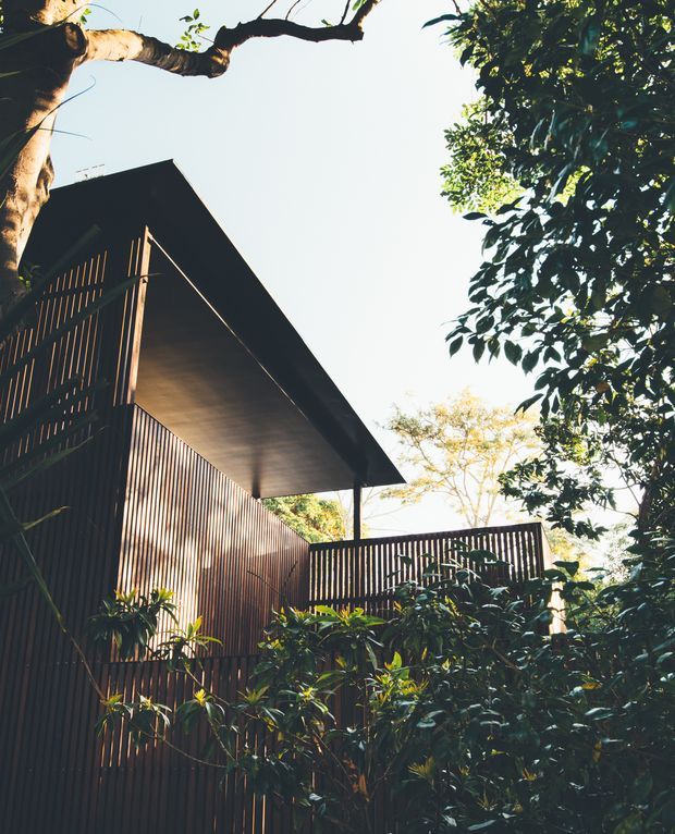 Upward-looking exterior view of a contemporary structure nestled among mature trees and dense planting. The building features dark vertical timber battens, a broad flat projecting roof, and a partially screened upper-level deck or balcony. Strong sunlight filters through the vegetation, creating a warm, secluded architectural setting.