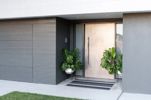 Contemporary residential entrance with a large pale timber or metal pivot door framed by narrow glazing, set within dark grey architectural cladding. A horizontal slatted garage door sits to the left, while potted tropical plants flank the entry. The composition features clean geometric lines, a sheltered overhang, and a restrained charcoal, white, and green palette.