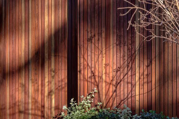 Close-up architectural detail of a vertical timber-clad exterior wall in rich reddish-brown tones. Narrow vertical boards create a strong linear rhythm, with dappled sunlight and shadows from nearby branches across the surface. Low planting and bare branches appear at the edges and base, giving the scene a warm, natural character.