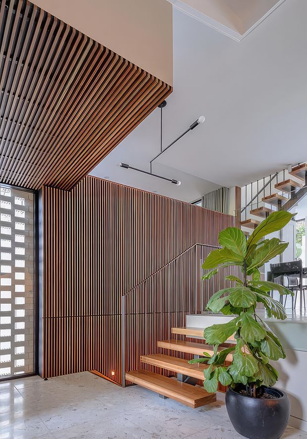 A bright contemporary interior entry and stairway featuring extensive vertical timber slat wall and ceiling screening, open-riser timber stairs with a slim metal balustrade, polished concrete flooring, minimalist linear pendant lighting, and a large potted fiddle-leaf fig. A perforated masonry screen and glazed opening bring daylight into the space.