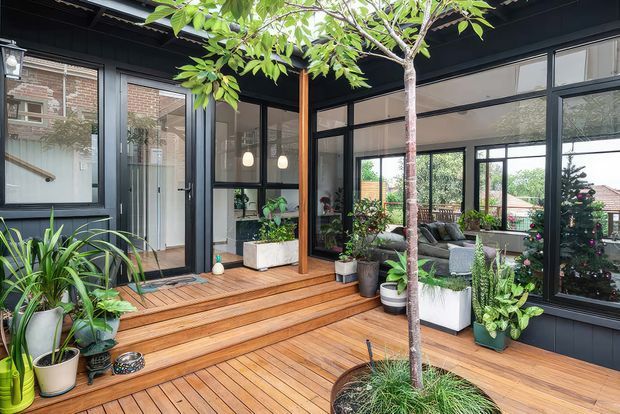 A contemporary enclosed courtyard or deck adjoining a glass-lined house. Warm timber decking and stepped entry stairs surround abundant potted greenery, with dark-framed glazing, black cladding, and a visible living area beyond the windows. A small tree rises through the planted deck area, creating a lush indoor-outdoor connection.