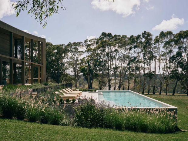 A contemporary glass-and-timber house opens onto a rectangular swimming pool and landscaped garden. The pool is surrounded by low stone-clad walls, timber loungers, ornamental grasses, and mature eucalyptus trees, creating a tranquil rural outdoor setting.
