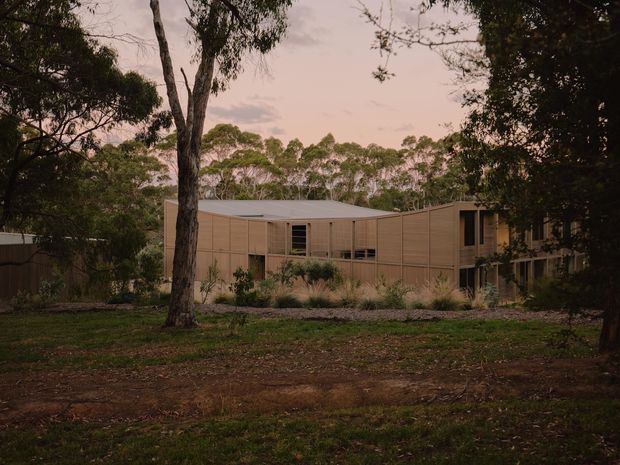 A low-rise contemporary building nestled among mature eucalyptus trees and landscaped native planting. The structure has warm timber-toned horizontal cladding, screened balcony or walkway areas, dark-framed windows, and a shallow low-pitched roof. The subdued dusk lighting and wooded setting create a quiet, secluded architectural exterior view.