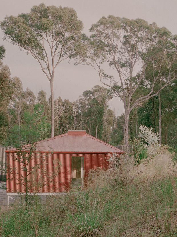 A small single-storey corrugated metal-clad house or cabin with a pitched roof, set among tall eucalyptus trees and dense natural grasses in a wooded Australian bush setting. The building has a muted red corrugated exterior and simple glazing, partially screened by vegetation.