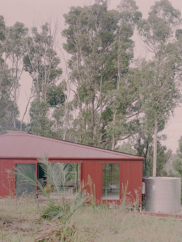 A compact single-storey corrugated metal-clad building with a low pitched metal roof, large dark-framed windows, and a red-brown facade set among tall eucalyptus trees and native grasses. A large cylindrical corrugated rainwater tank is positioned beside the building, reinforcing its rural bush setting and practical, self-sufficient character.