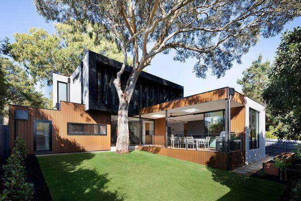 A contemporary two-storey residential house viewed from the landscaped rear garden. The home combines dark and warm timber-toned vertical cladding, broad glazed openings, and a sheltered outdoor dining terrace beneath a projecting upper volume. A mature eucalyptus tree, lawn, raised garden beds, and established planting surround the building.