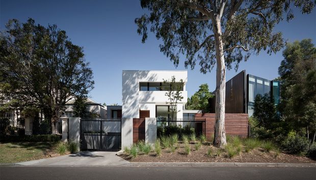 Street-facing view of a contemporary multi-level residence set among mature eucalyptus trees. The home combines white rendered walls, dark vertical cladding, extensive glazing, timber-toned screening, and a landscaped front boundary with a driveway and garage entrance.