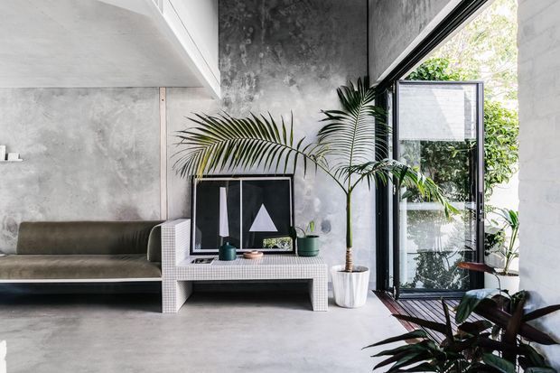 A contemporary minimalist living room with raw concrete walls and floor, a low built-in sofa, a tiled or mosaic-faced console bench, framed artwork, and abundant indoor palms. Large black-framed glazing and an open glass door bring in greenery and natural light.