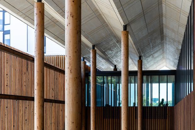 A spacious contemporary interior with a dramatic vaulted, exposed timber ceiling supported by a row of large round timber columns. Vertical timber screening and dark framed floor-to-ceiling glazing define the space, with daylight and a distant landscape visible beyond.