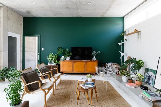 Bright living room with a mid-century-inspired timber credenza, television, woven lounge chairs, small coffee table, indoor plants, and a large natural-fibre rug. The room combines a deep green feature wall with exposed concrete ceiling and a white-painted brick wall, with abundant daylight from the glazing on the right.