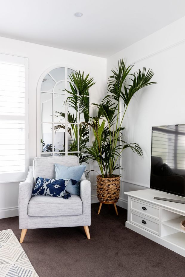 Bright, compact living room with white walls and ceiling, a tall arched grid-panel mirror, plantation-style window covering, a light upholstered armchair with blue patterned cushions, indoor tropical plants in a woven basket planter, dark carpet, and a white TV console with a television. The room has a fresh, relaxed, coastal-inspired look with abundant greenery and strong natural light.