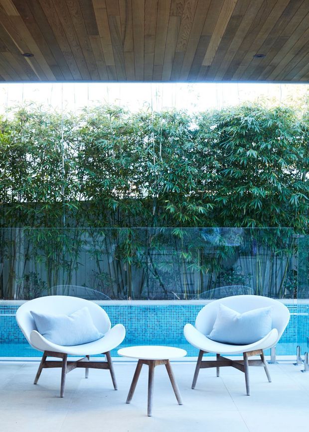 A refined outdoor poolside seating area with two white sculptural lounge chairs and a small round table on pale paving. A vivid blue mosaic-tiled swimming pool runs behind the seating, with dense bamboo screening beyond. The space is sheltered by a warm timber-lined ceiling and enclosed with clear glazing or screening, creating a tranquil indoor-outdoor setting.
