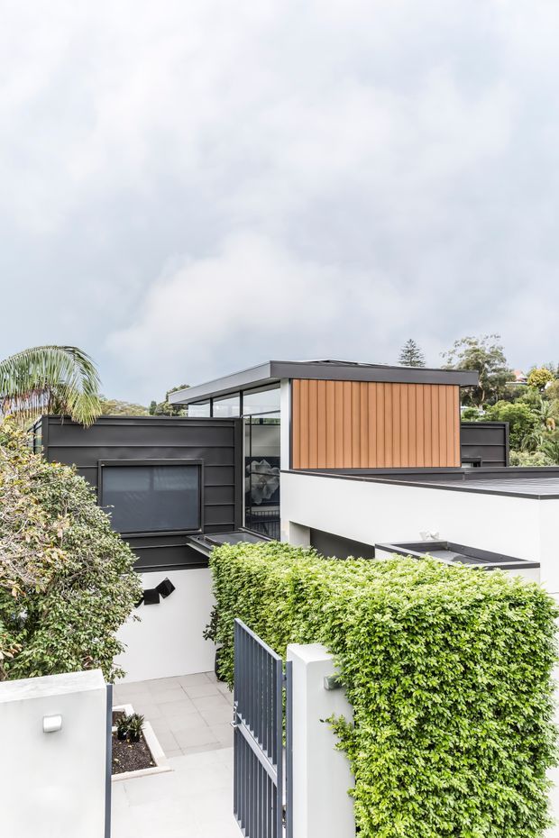 A contemporary multi-level residential facade viewed from the front entry, featuring crisp white rendered walls, dark horizontal cladding, extensive black-framed glazing, and a warm vertical timber-clad upper feature. A tiled walkway passes through a landscaped entry with clipped hedges, a dark metal gate, and mature planting.