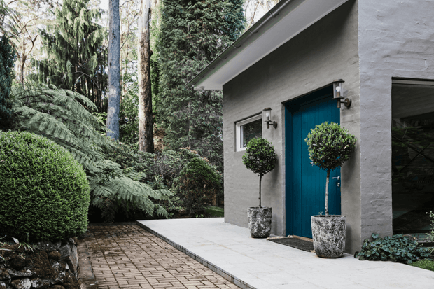 Exterior view of a refined contemporary home set within dense, mature greenery. A textured grey rendered wall features a vivid blue timber door, slim black-framed windows, and wall-mounted exterior lights. Formal topiary trees in stone planters flank the entry, while a pale paved path connects to a brick-paved walkway through the landscaped garden.