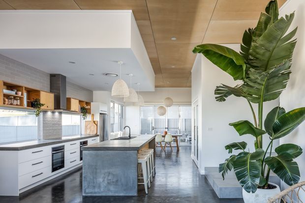 Bright contemporary open-plan kitchen with a long island, white cabinetry, dark stone benchtops, exposed timber ceiling panels, pendant lighting, and polished concrete flooring. A dining area is visible beyond the kitchen, with a large tropical indoor plant in the foreground.