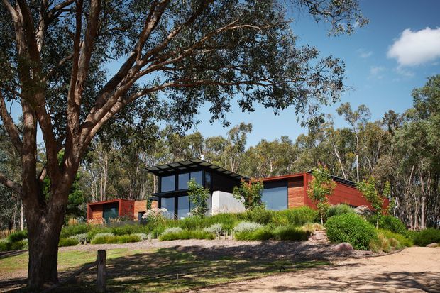 A low, modern single-storey house set within a mature woodland landscape. The home features dark-framed floor-to-ceiling glazing, white rendered wall sections, a projecting flat roof, and warm red-brown timber-clad wings. Native-style planting, stone-edged landscaping, and a broad dirt or gravel approach surround the building.