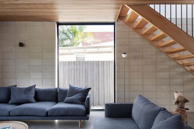 A contemporary living room with a dark blue sofa and matching lounge seating, exposed concrete block walls, and warm timber ceilings. A timber staircase with open risers rises along the right side beside a black-framed window, bringing in strong natural light. The room has a restrained, tactile palette and a casual dog visible on the seating.