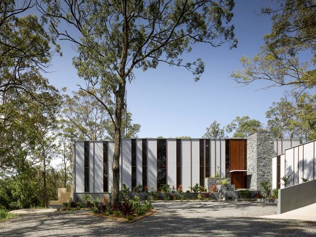 Exterior view of a contemporary single-storey residence set among established trees. The building features a long rectilinear facade with alternating vertical dark window panels and light cladding, warm timber accents, a textured stone wall, and a broad gravel forecourt with landscaped planting.