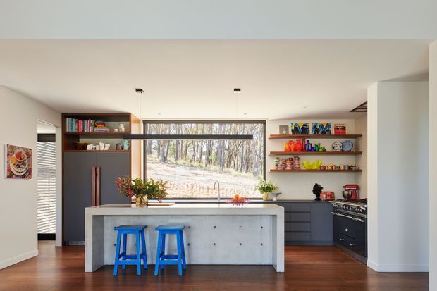 A bright, contemporary kitchen viewed straight on, centred around a large concrete island with two vivid blue stools. Dark grey cabinetry, open timber shelving displaying colourful kitchenware, stainless-steel appliances, timber flooring, and a wide window overlooking trees define the space. The room has a clean, playful yet refined character with abundant natural light.