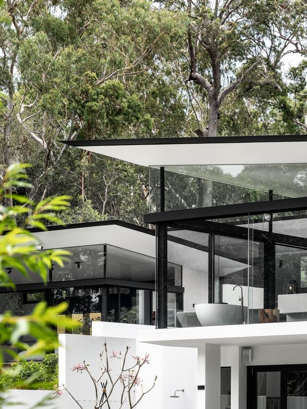 A contemporary flat-roofed house set among dense eucalyptus bushland. The exterior features crisp white geometric volumes, extensive floor-to-ceiling glazing, black-framed windows and doors, and a partly visible open-plan kitchen with a white island, sink and pendant lighting. The composition emphasises the strong connection between the modern architecture and its leafy natural setting.