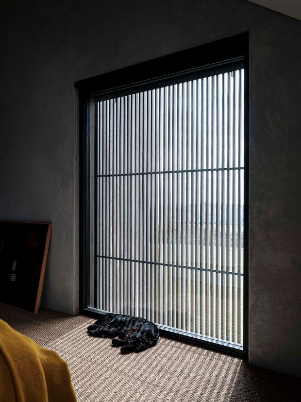 Moody interior view centered on a tall, black-framed window with closely spaced vertical external screening or blinds, casting strong linear light and shadow into the room. The walls are dark textured plaster, the floor is covered in neutral patterned carpet, and part of a mustard-yellow upholstered chair or sofa is visible in the foreground. A dark framed artwork leans against the wall, with a black pet lying near the window.