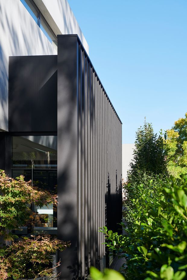 Vertical exterior view of a contemporary building with a tall dark ribbed facade screen, charcoal metal window and door frames, and crisp white rendered wall surfaces. The narrow architectural volume is partially screened by dense landscaped planting, with strong sunlight and shadows against a clear blue sky.