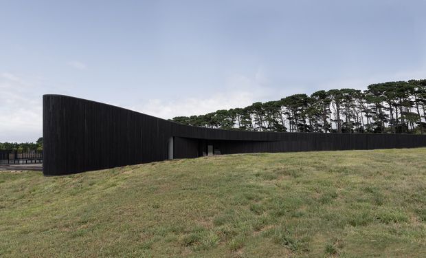 A low, sweeping contemporary building set into a gently sloping grassy landscape. The facade is formed by a long, curved wall clad in dark vertical timber boards, with minimal openings and a partially visible terrace or railing at the left. A line of mature trees forms the background beneath an overcast sky.