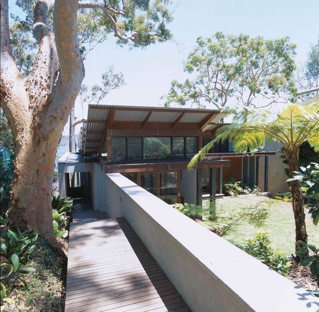 Exterior view of a contemporary multi-level home set among mature trees and lush subtropical planting. A timber pedestrian deck and low rendered wall lead toward the house, which features broad dark-framed glazing, timber structural elements, and a shallow corrugated metal roof with generous overhangs. The image is bright and strongly connected to its landscaped setting.
