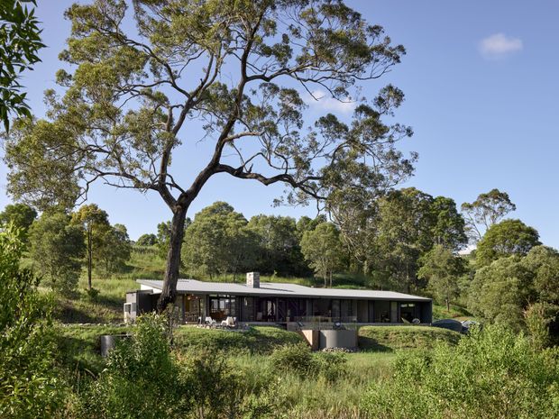 A low, single-storey contemporary house set into a lush, sloping bush landscape. The dark horizontal facade has extensive glazing and a broad low-pitched roof, with a large mature tree dominating the foreground and dense vegetation surrounding the property.