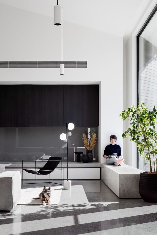 Bright, high-ceiling contemporary living room with a minimalist monochrome palette. The space features a dark full-height built-in joinery wall, glossy grey built-in cabinetry, a large black-framed window, pendant lights, a sculptural black lounge chair, a pale sofa, and a deep concrete or stone window seat. Strong sunlight casts shadows across the polished grey floor; a potted tree and small dog add life to the otherwise refined interior.