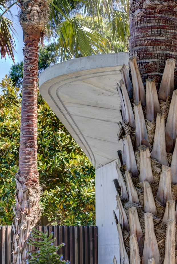 Close-up exterior architectural detail showing a curved white concrete canopy or roof edge beside mature palm trees. A dark vertical fence and surrounding lush subtropical landscaping are visible in the background. The image emphasizes the organic curved form and concrete construction against the tropical setting.