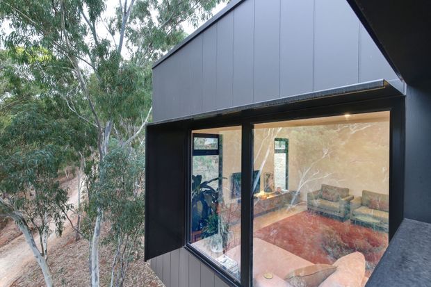 Exterior view of a compact contemporary gabled building set among eucalyptus trees. Dark charcoal vertical cladding frames large glazed windows, through which a warm-toned living room with seating and a rug is visible.