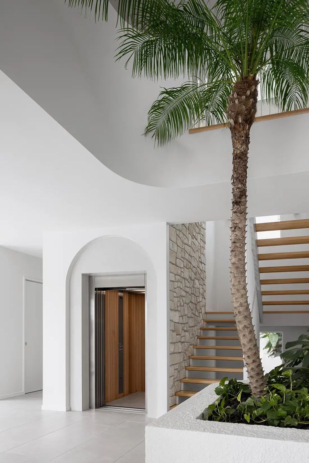 Bright contemporary interior entry hall featuring a tall indoor palm planted in a built-in white planter, a sculptural curved ceiling, a rounded arched opening around a timber-lined elevator, exposed light stone wall cladding, and an open timber-tread staircase with a white structure. The space has a clean, airy, resort-like character with abundant integrated greenery.