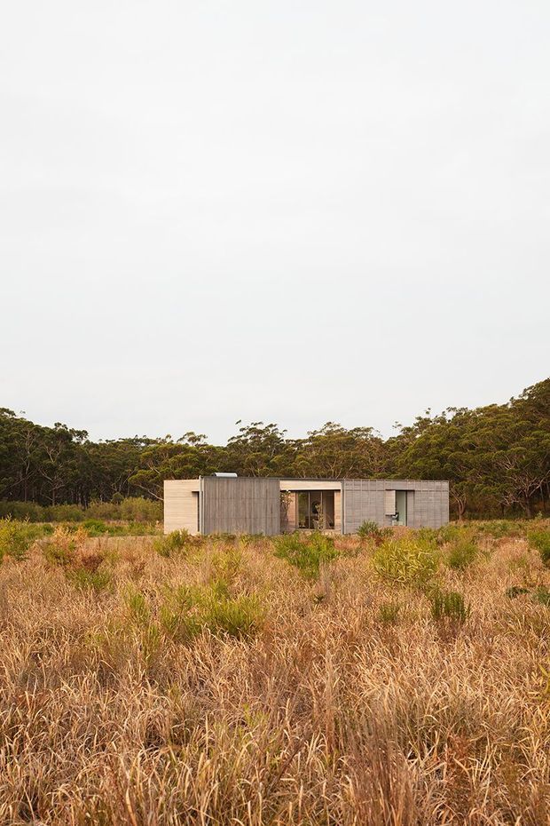 A low, minimalist single-storey dwelling set within tall dry grasses and surrounded by dense woodland. The compact rectangular building has a restrained modern facade with pale horizontal cladding, grey vertical screening, large glazed openings, and a flat roof. The composition is a distant exterior architectural photograph with the natural landscape dominating the foreground and background.